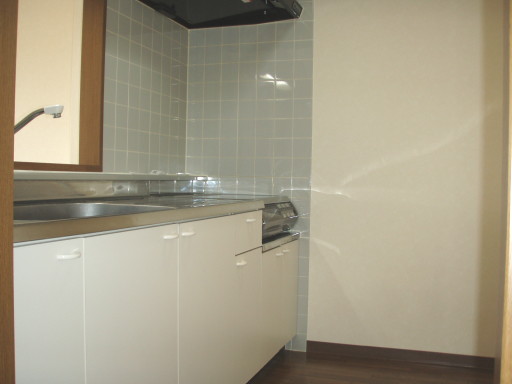 Kitchen. IH hob