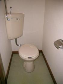 Toilet. Toilet