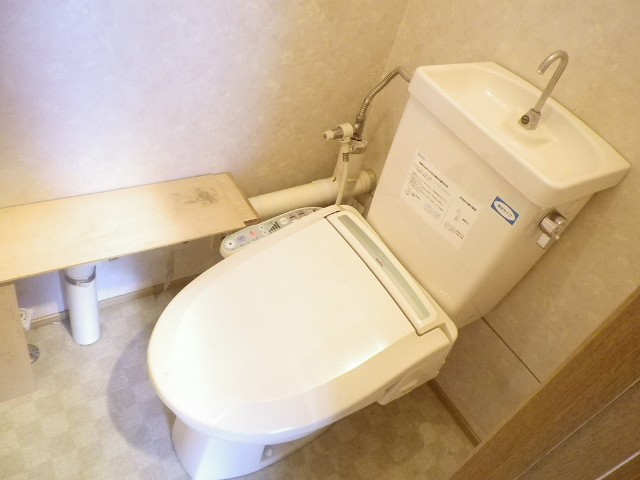 Toilet. Also it comes with warm water cleaning toilet seat