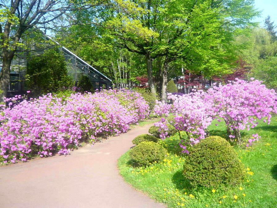 park. 560m to Toyohira Park (park)