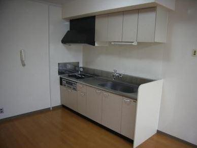 Kitchen. Indoor (12 May 2013) Shooting