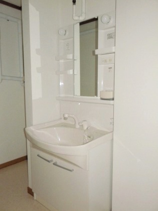 Washroom. Shampoo dresser