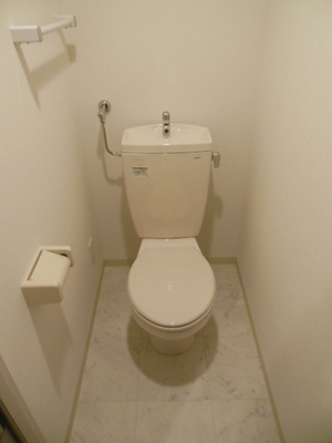 Toilet. Photo is a thing of the second floor of the same type. 
