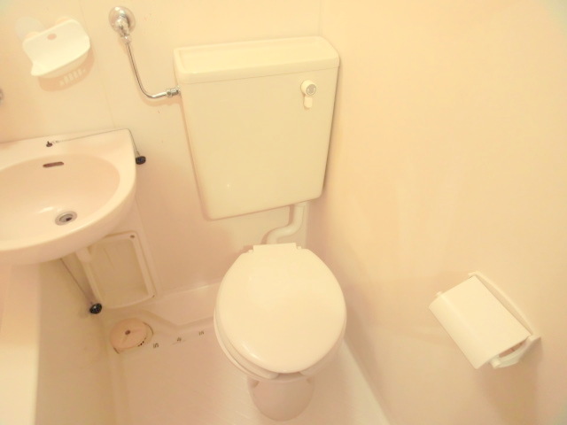 Toilet. Toilet