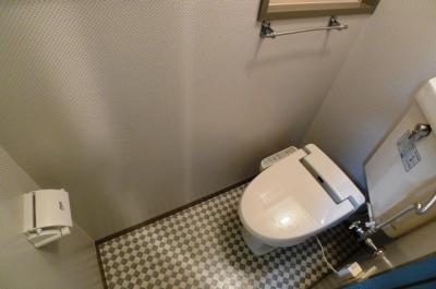 Toilet. Toilet to settle the stylish floor ☆ 