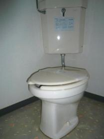 Toilet. Toilet