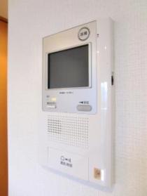 Security. Intercom with TV monitor