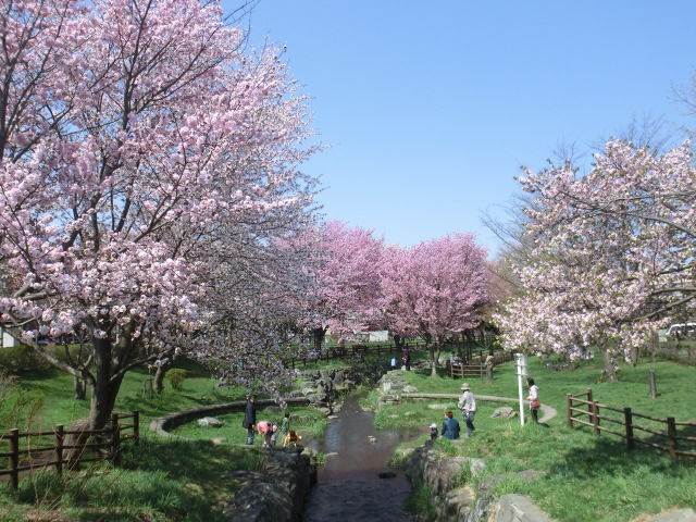 park. 647m to Fukuzumi Ogawa Park (park)