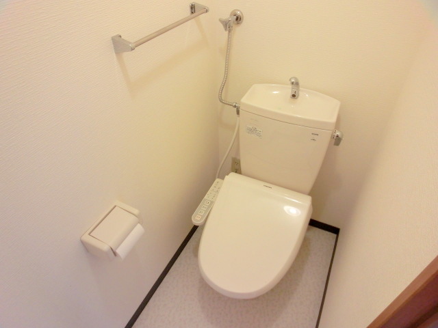 Toilet. How to Washlet! 