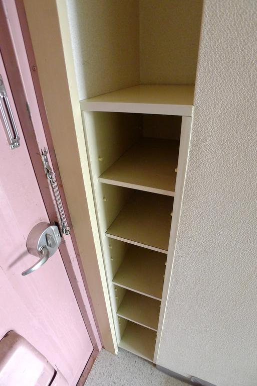 Entrance. Shoe box