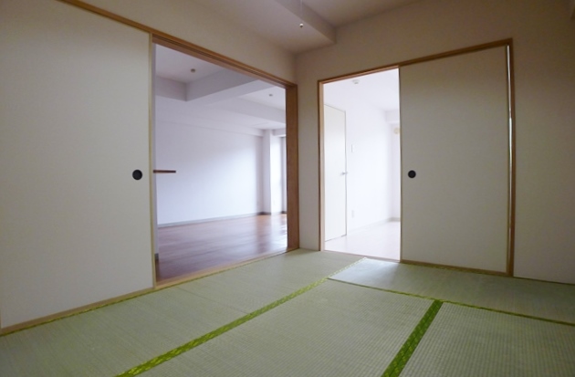 Other room space. Japanese style room