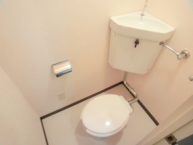 Toilet. tray