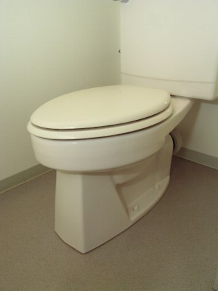 Toilet