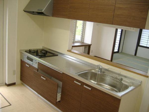 Kitchen. System kitchen new