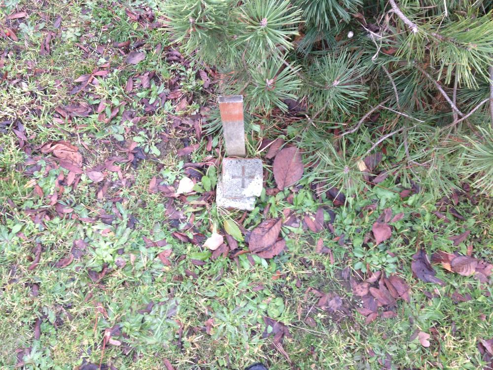 Other. Also it has confirmed boundary stone. 