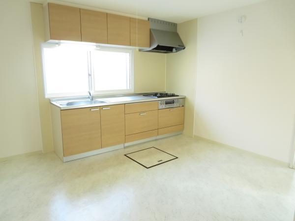 Same specifications photo (kitchen). Spacious kitchen space