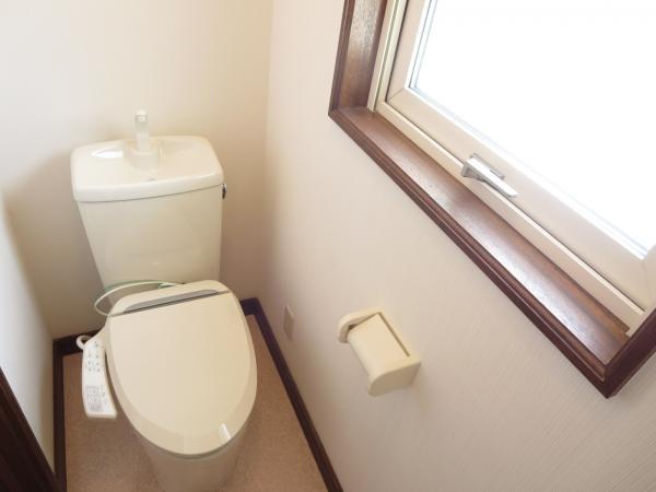 Toilet. Already sewer connection! Toilet is a new article has been replaced with a hot water shower
