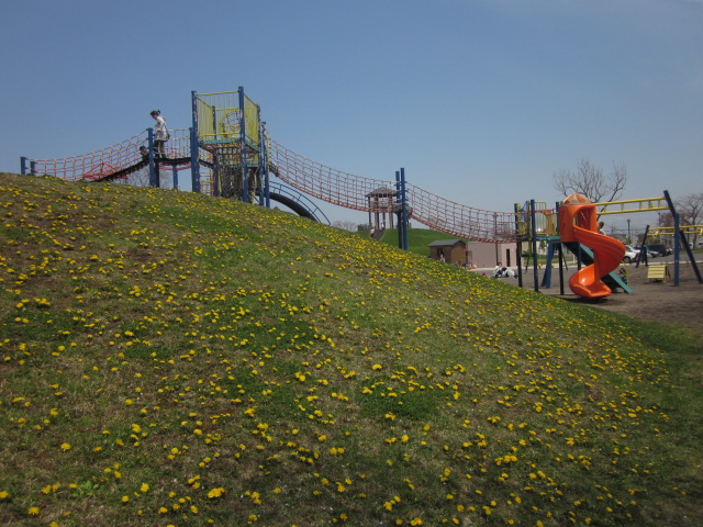 park. 442m until TakuIsamu park (playground equipment) (Park)