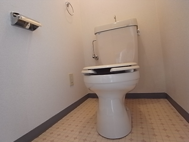 Toilet. Toilet