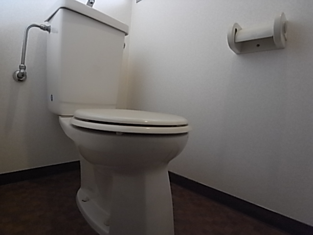 Toilet. Toilet