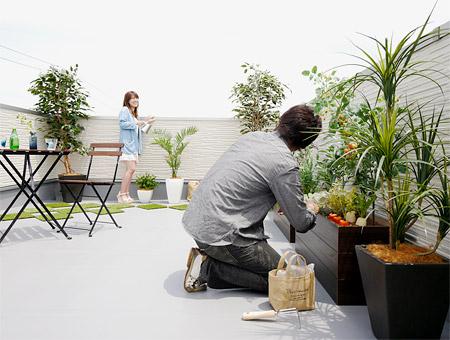 Garden. Yang per outstanding vegetable garden space. Enjoying the home garden with planters, Caught vegetables to the table! (No. 26 locations)