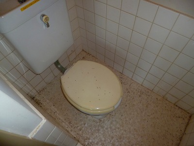 Toilet