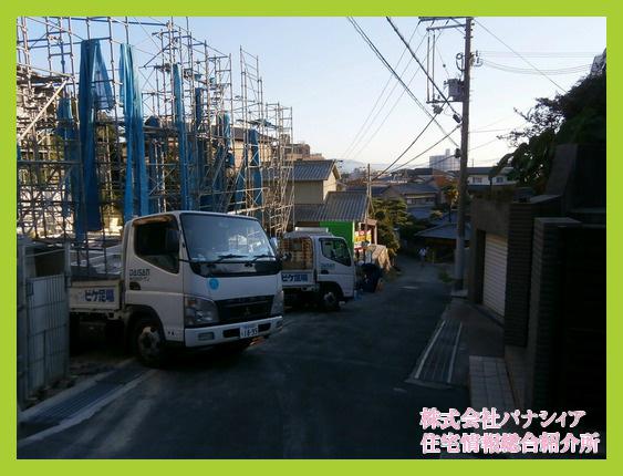 Local photos, including front road