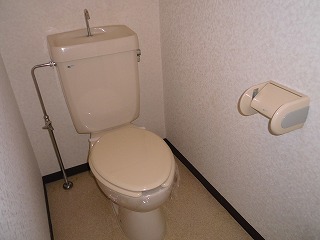 Toilet. Toilet