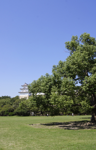 Akashi Park (about 700m / A 9-minute walk)