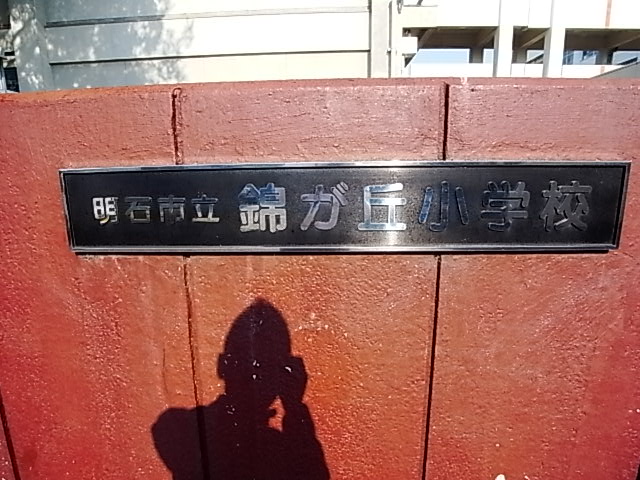 Primary school. 254m until the Akashi Municipal Nishikigaoka elementary school (elementary school)
