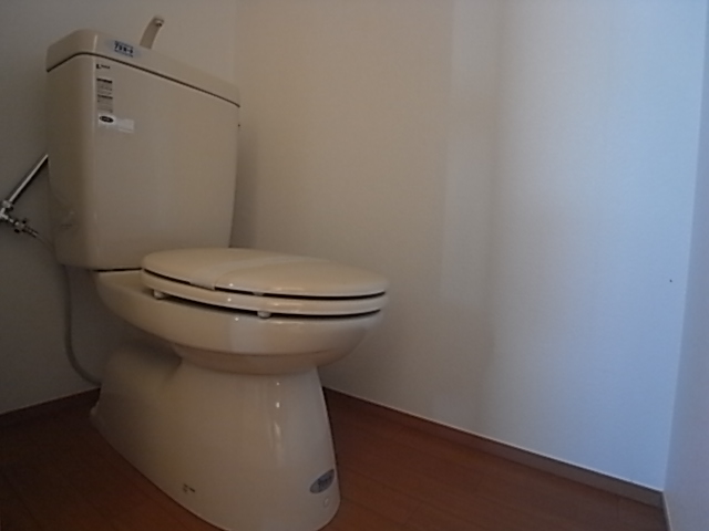 Toilet. Toilet part.