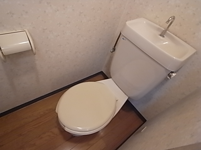 Toilet. Toilet