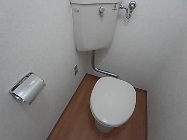 Toilet. Toilet