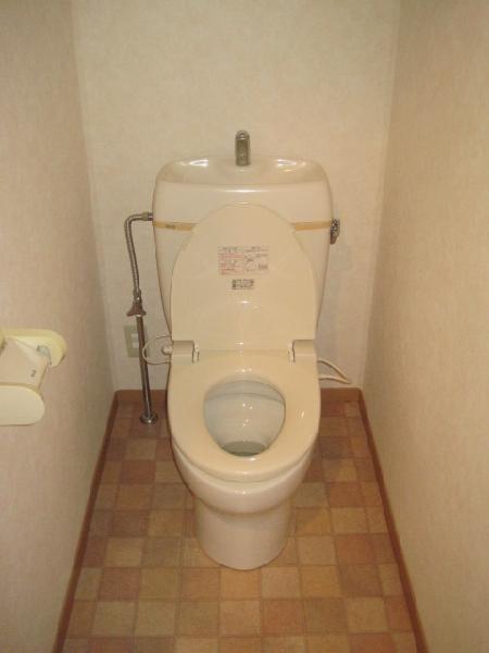 Toilet. Toilet