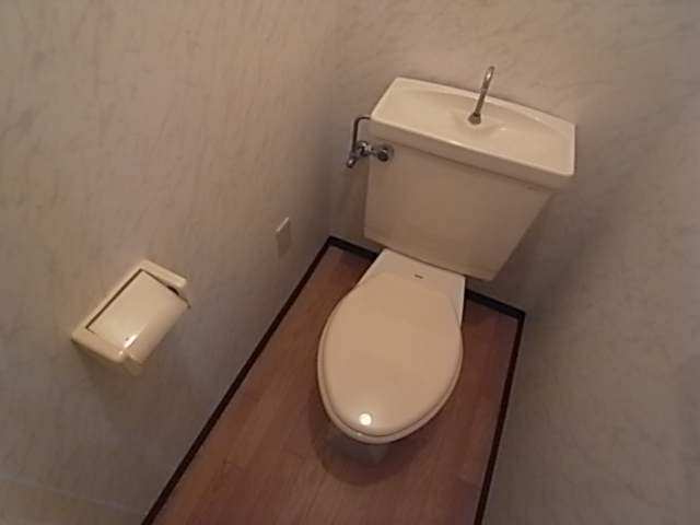 Toilet. Toilet