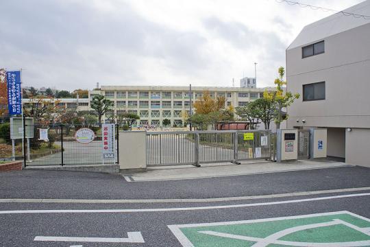 Primary school. Morning mist until the elementary school 960m