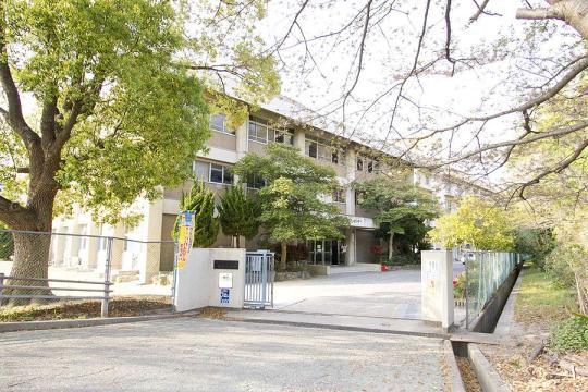 Junior high school. Asagiri 1750m until junior high school