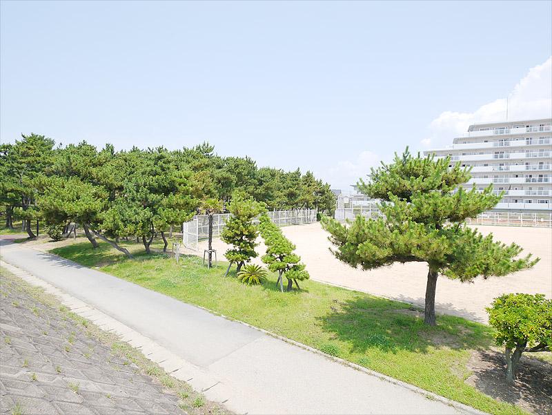 park. Beautiful desired seaside park 250m pine forest until the desired beach park. Since there is also a cycling road, Enjoy cycling with the whole family on holiday