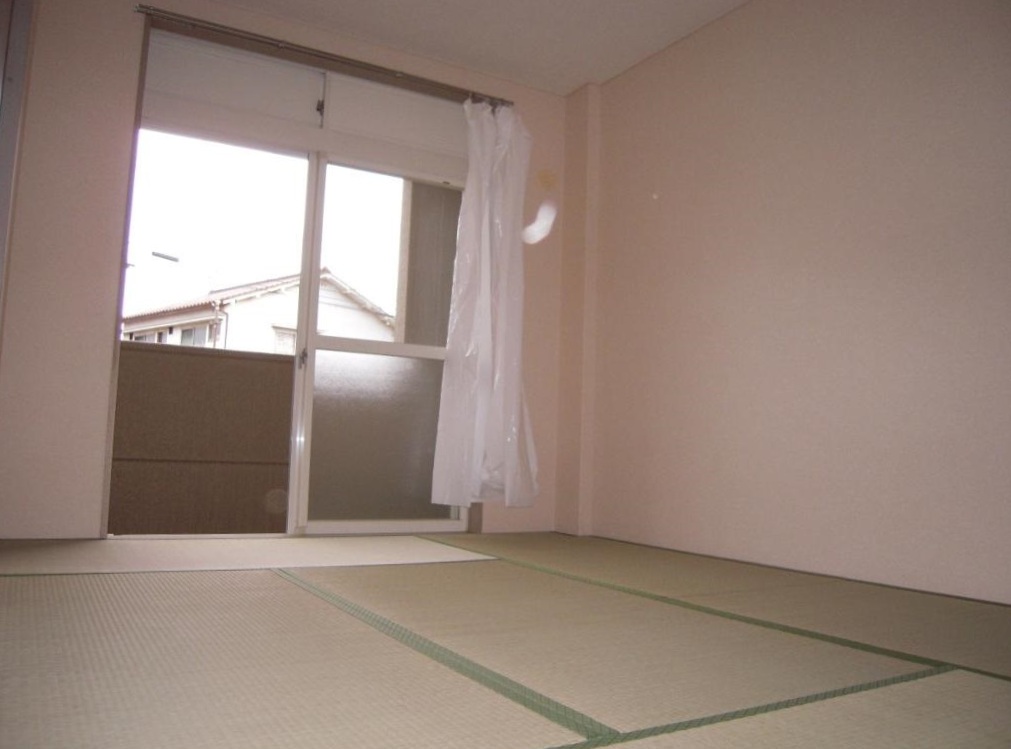 Other room space. Japanese style room