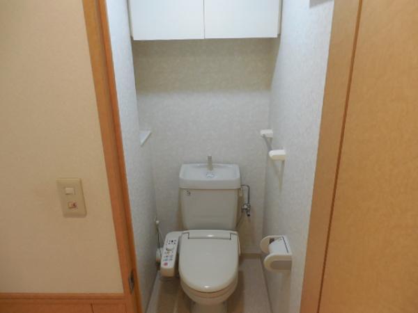 Toilet. Comfortable in the heating with cleaning toilet seat!