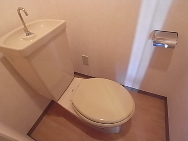 Toilet. Toilet