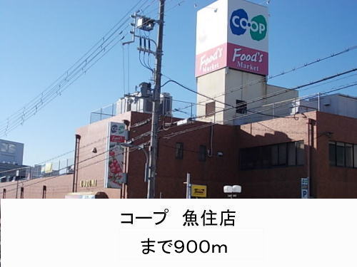Supermarket. 900m until Coop Uozumi store (Super)