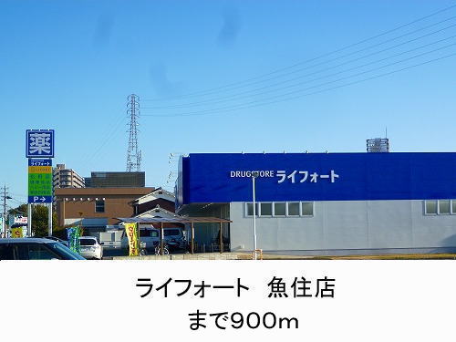 Dorakkusutoa. Raifoto Uozumi shop 900m until (drugstore)