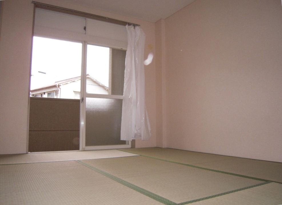 Other room space. Japanese style room