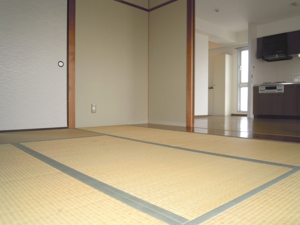 Other room space. Japanese style room