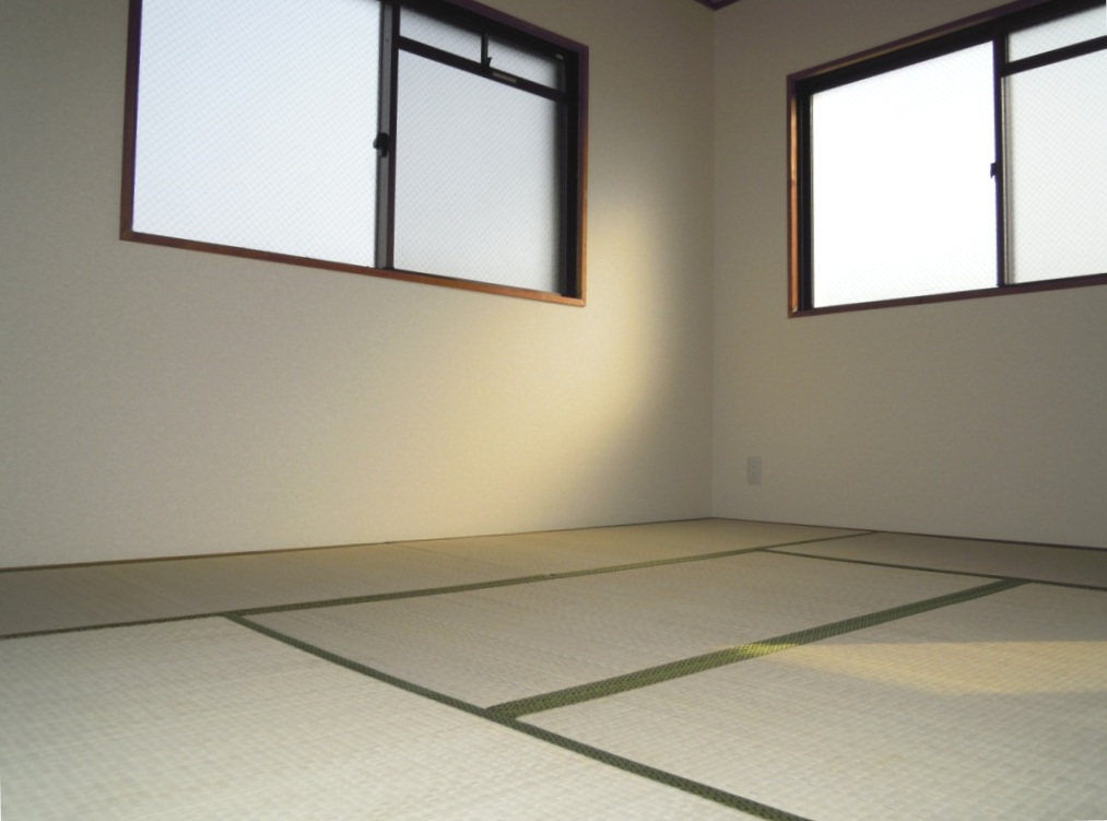 Other room space. Japanese style room