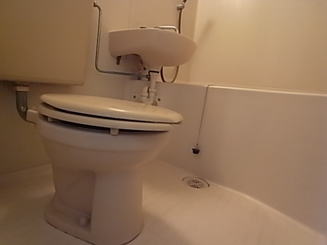 Toilet. Toilet