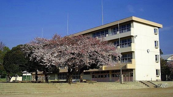 Primary school. 1508m to Okubo Elementary School