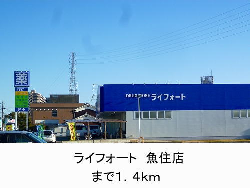Dorakkusutoa. Raifoto Uozumi shop 1400m until (drugstore)