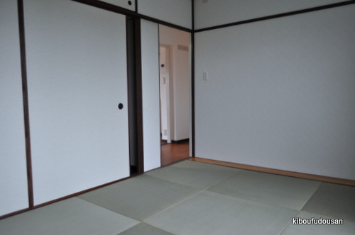 Living and room. Japanese style room